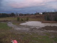 1116 08 pond017.jpg
