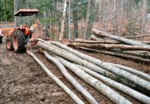 Breeze lodge logging 11-08.jpg