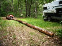 logging a.JPG