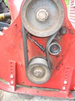 IMG_0219smallfile.jpg