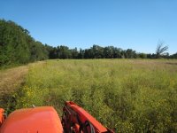 IMG_1013.JPG