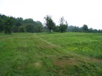 1st mow in NY 002.jpg