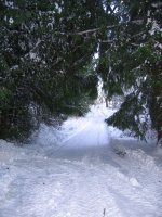 IMG_4261.jpg