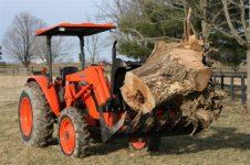 CarryingStump1 (Medium).JPG