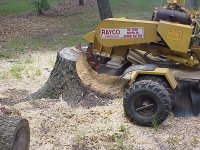 MVC-239X.JPG