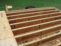 Second Floor Joists with subfloor.JPG