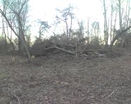 img068.jpg