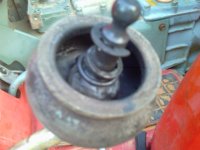 IMAG0058.jpg