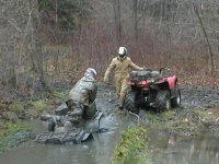 mudmonkey3.jpg