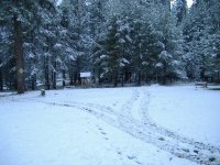 cabin sw yard.JPG