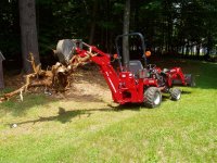 Stump1.JPG