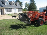 Rock Grapple.jpg