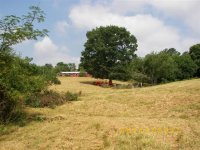 Pasture and stable.jpg