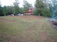 Backyard.JPG