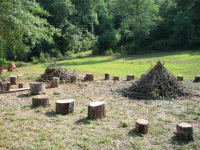 Campfire ring.GIF