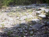 Rocks.jpg