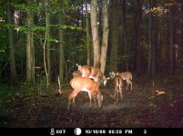 5doe.jpg