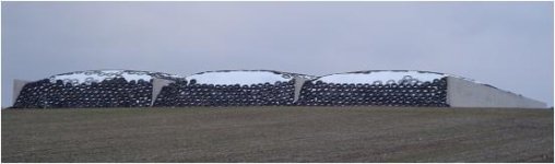 bunker8.jpg