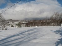 winter 3.jpg