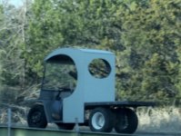 mule15.jpg