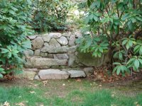 MISC PICS 2 016 (Small).jpg