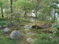 MISC PICS 2 019 (Small).jpg