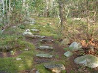 MISC PICS 2 020 (Small).jpg