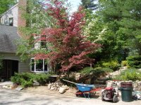 MISC PICS 2 035 (Small).jpg