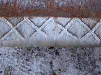 IMG_1126_1.jpg