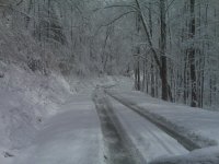 IMG00131.jpg