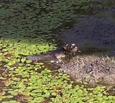 DSCN4667.jpg