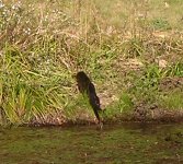 DSCN4671.jpg