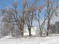 12-1-06  ice storm 058.jpg
