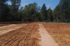 Food Plot, 12 Oct 08 002 (Small).jpg