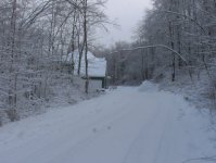 wintery.jpg