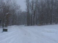 wintery3.jpg
