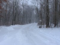 wintery4.jpg