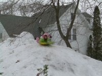 DSCN0740.jpg