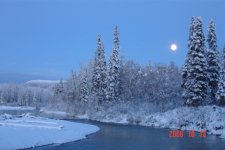 Winter on the homestead.JPG