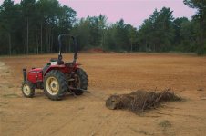 Food Plot, 14 Oct 08 001 (Small).jpg