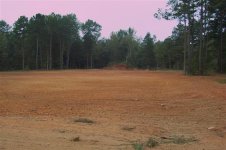 Food Plot, 14 Oct 08 002 (Small).jpg