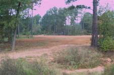 Food Plot, 14 Oct 08 004 (Small).jpg