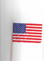 Flag001.jpg