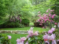 MISC PICS 2 199 (Small).jpg