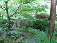 MISC PICS 2 203 (Small).jpg