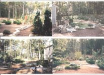 Fish Pond (Small).jpg