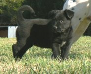 Hope - side shot - Mar 22.JPG