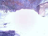Picture 002.jpg