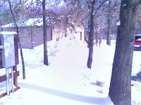 Picture 004.jpg