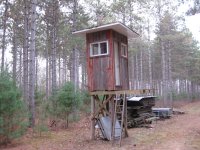 Woods 013.jpg
